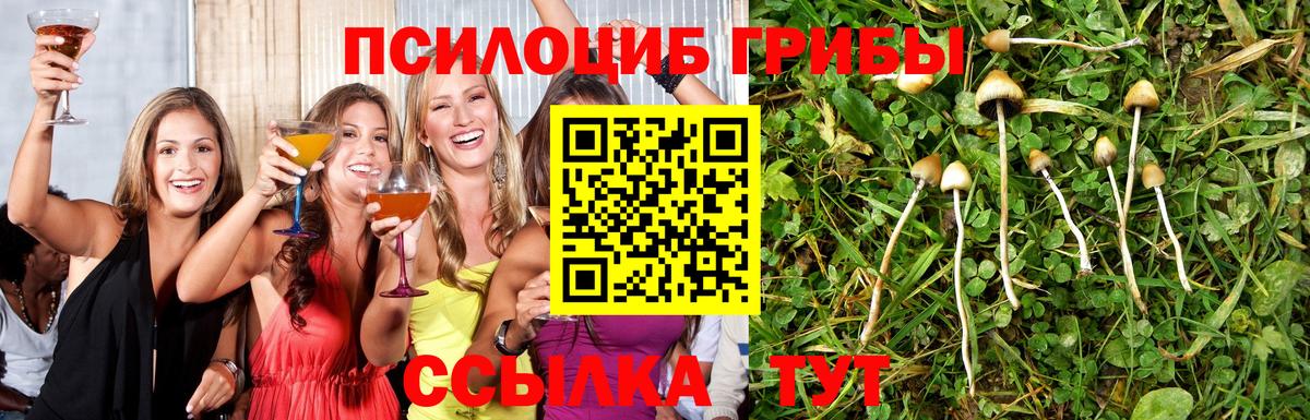 Галлюциногенные грибы прущие грибы  Вход с VPN  Рассказово  Галлюциногенные грибы мицелий 
